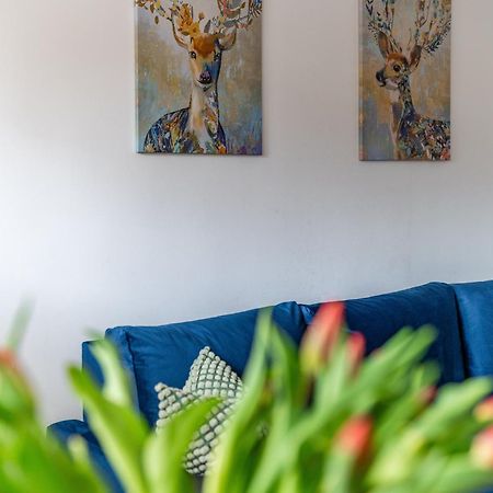 Apartament Lisowski Centrum Zakopane Ngoại thất bức ảnh
